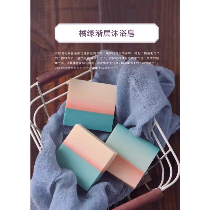 DIY Scented Soap Making Book w - Soap Making Recipes review and price
